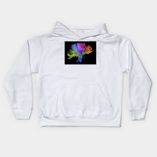 White matter fibres of the human brain (C023/9414) Kids Hoodie